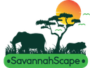 Savanna Scape Loading